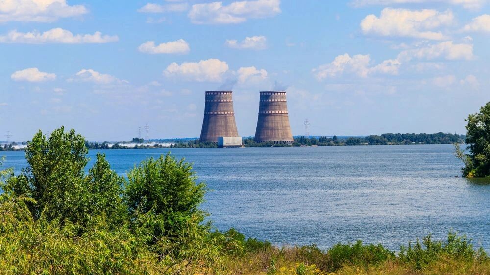    Фото: Olha Solodenko/Shutterstock/Fotodom