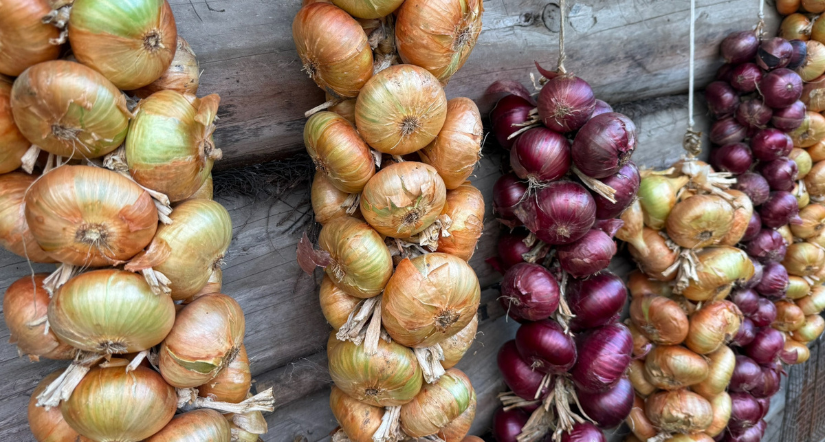    Фото: ПроГород