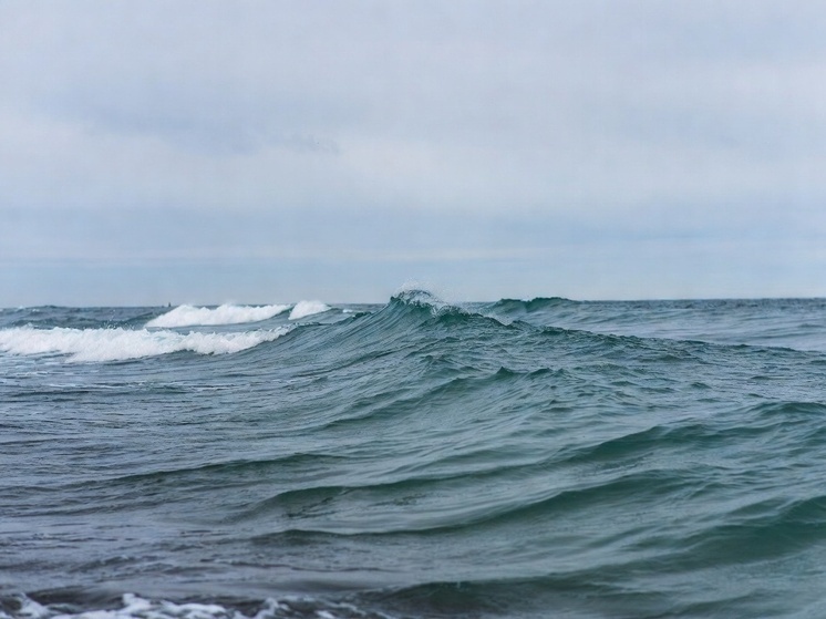     Фото: генерация Grok