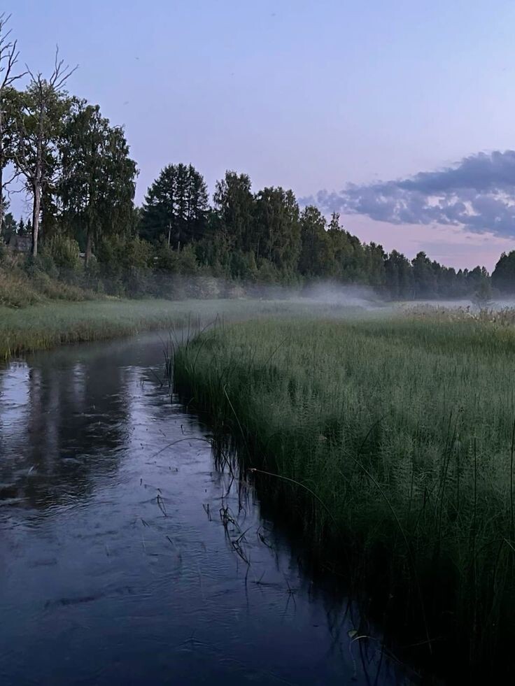 #деревня #любовь #романтика #свадьба #зависть