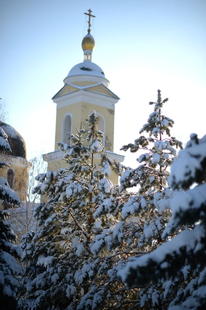 Фото: Олег Рукавицын/Царьград