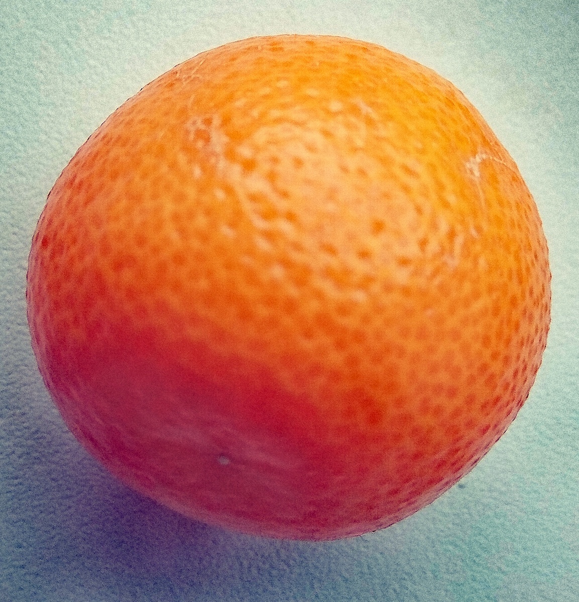 Фото автора от 07.02.26г. А вот и солнышко взошло!