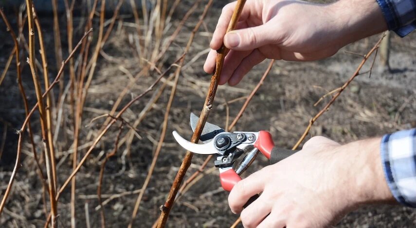 фото 123RF/thefuturies