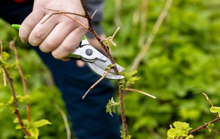 фото 123RF/soe10