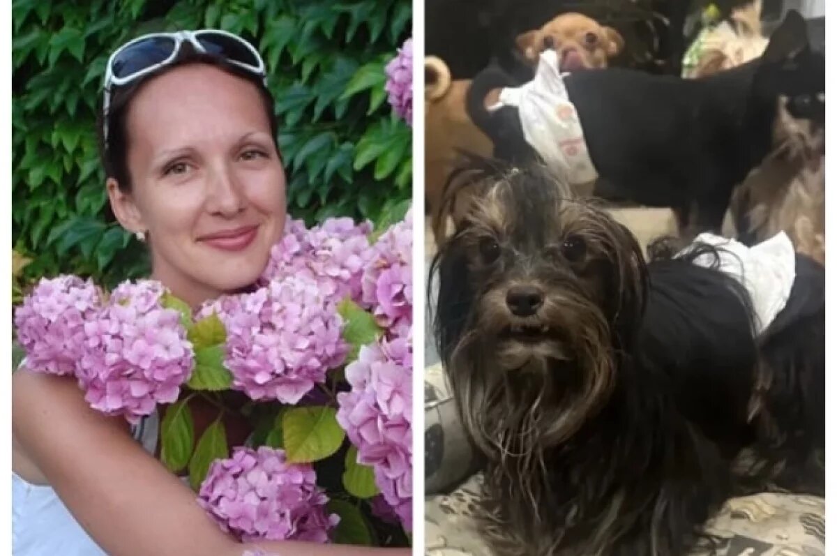    Людмила Созонова закупает корма и оплачивает ветеринарные услуги для сотен животных области.