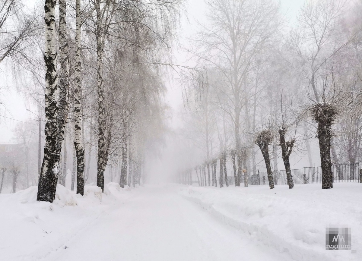     / Источник: Наталия Николаева © ИА REGNUM