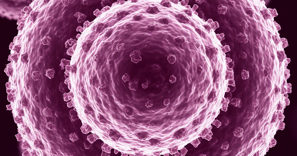 ВИРУС ПАПИЛЛОМЫ ЧЕЛОВЕКА