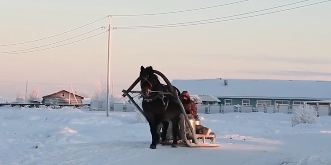 Почему одна печорская лошадь стоит десятка тракторов