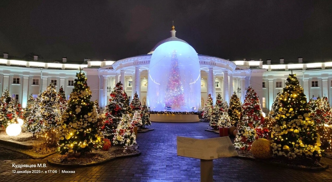 Даже больницы стали завлекать на свою территорию. Летом розы, зимой необычное оформление .