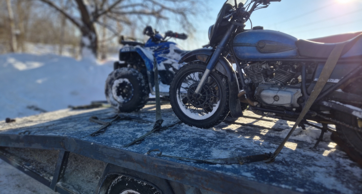    Фото progorod76.ru