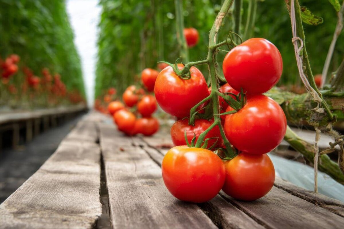     123RF/legion-media.ru