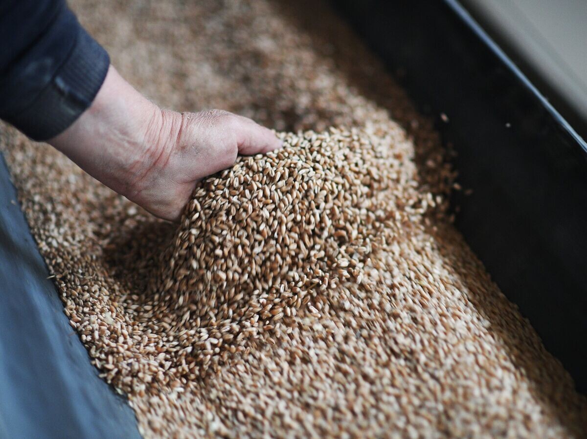    Предприятие "Мелитопольский элеватор"© РИА Новости . Алексей Майшев