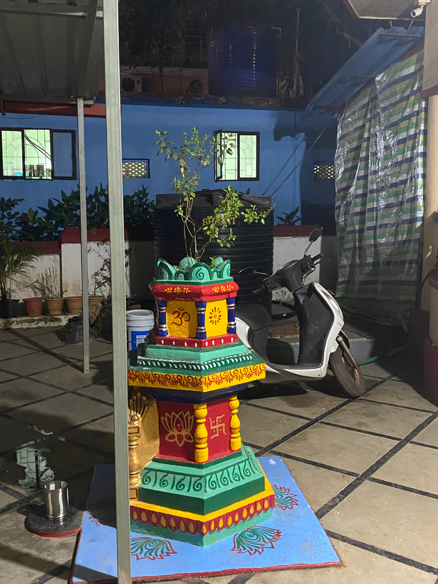 Это у моего хозяина