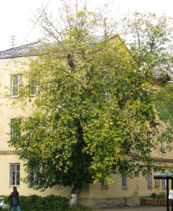 Изображение взято с сайта https://book-hall.ru/files/365-EKO-next/img_3551.jpg