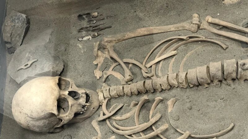     Череп, скелет, останки. Кристина Тарасова