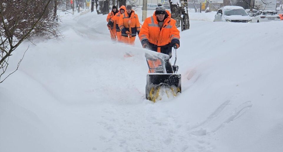    Яна Шаливская