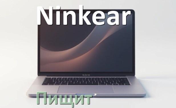 
Почему ноутбук Ninkear пищит при включении что делать