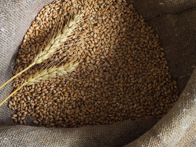    Фото: 123RF.com/natagolubnycha