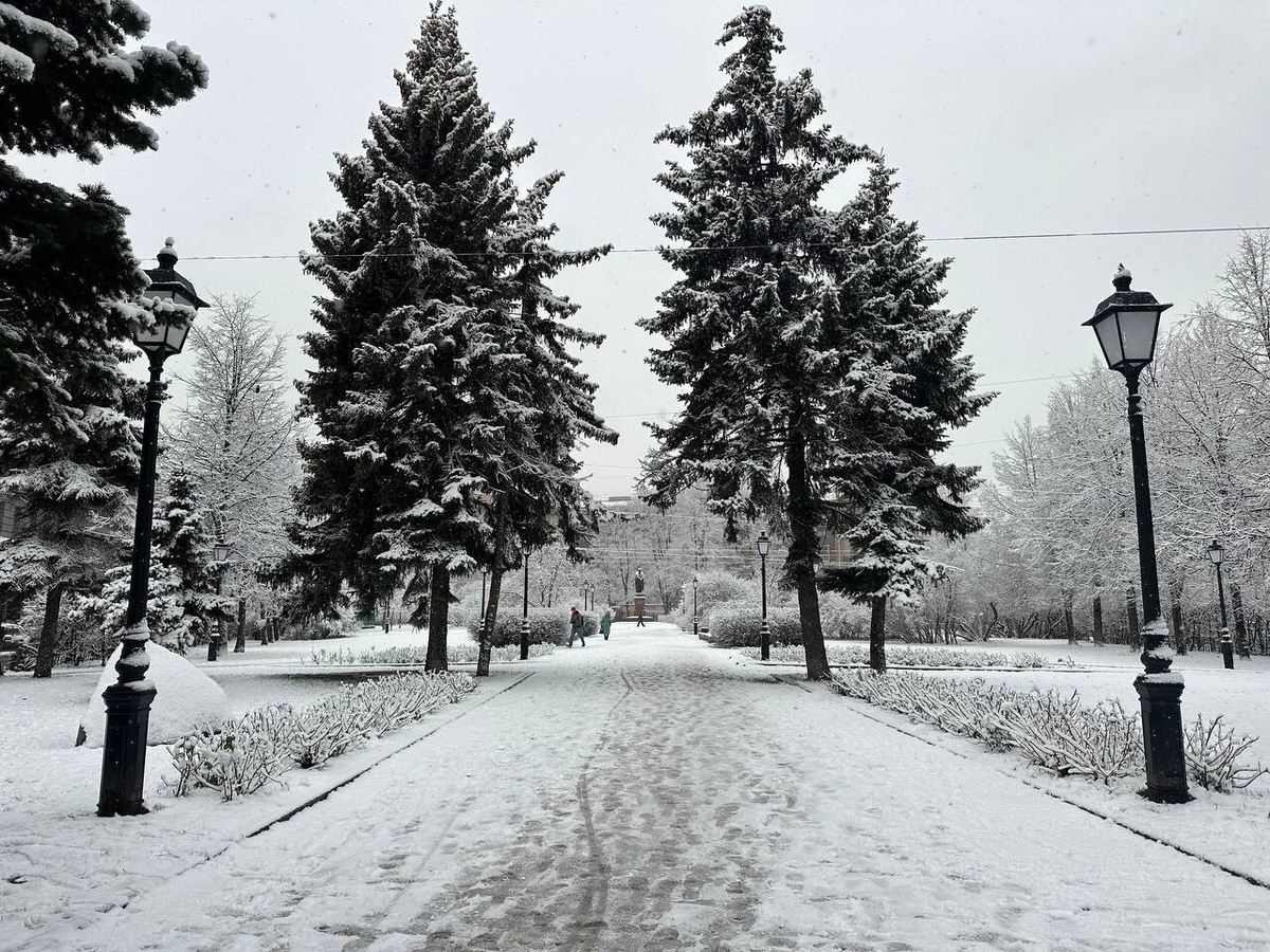     Фото: "Бриф24"