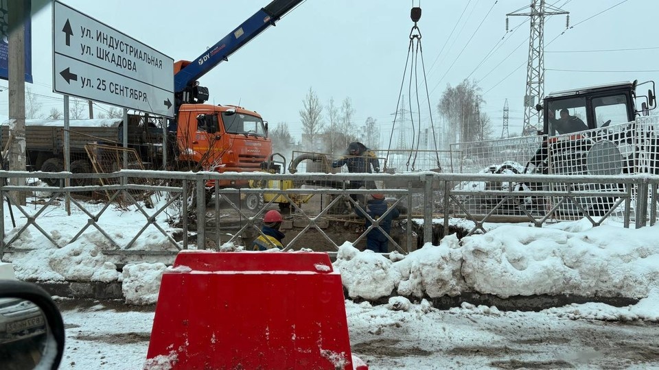    Фото автора Виктория НИКОЛЬСКАЯ