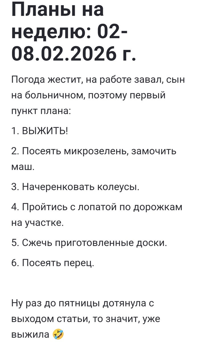 Да уж. Получились очень оптимистичные планы 🤭 