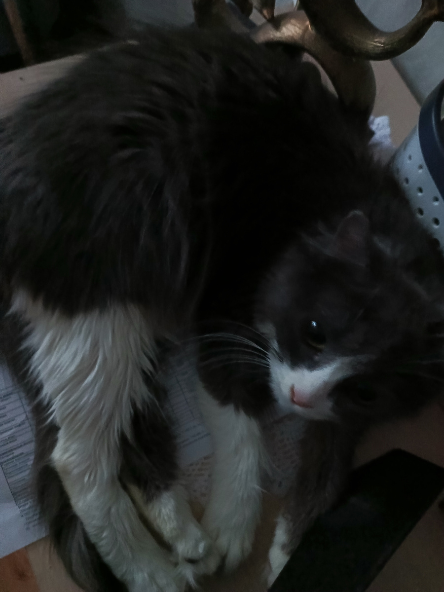 Фото автора.