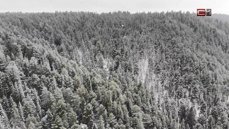    В рядах Авиалесоохраны Югры появился специалист редкой профессии