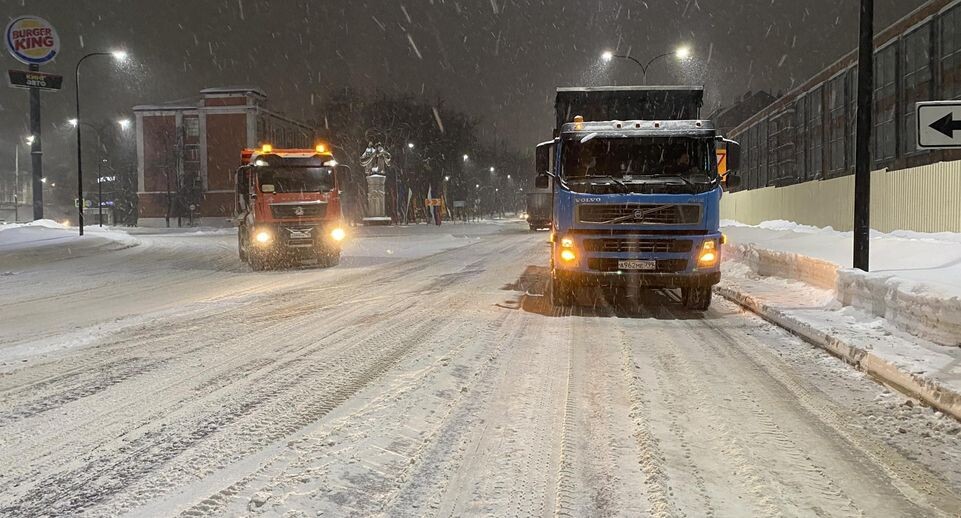    Анна Артюшина