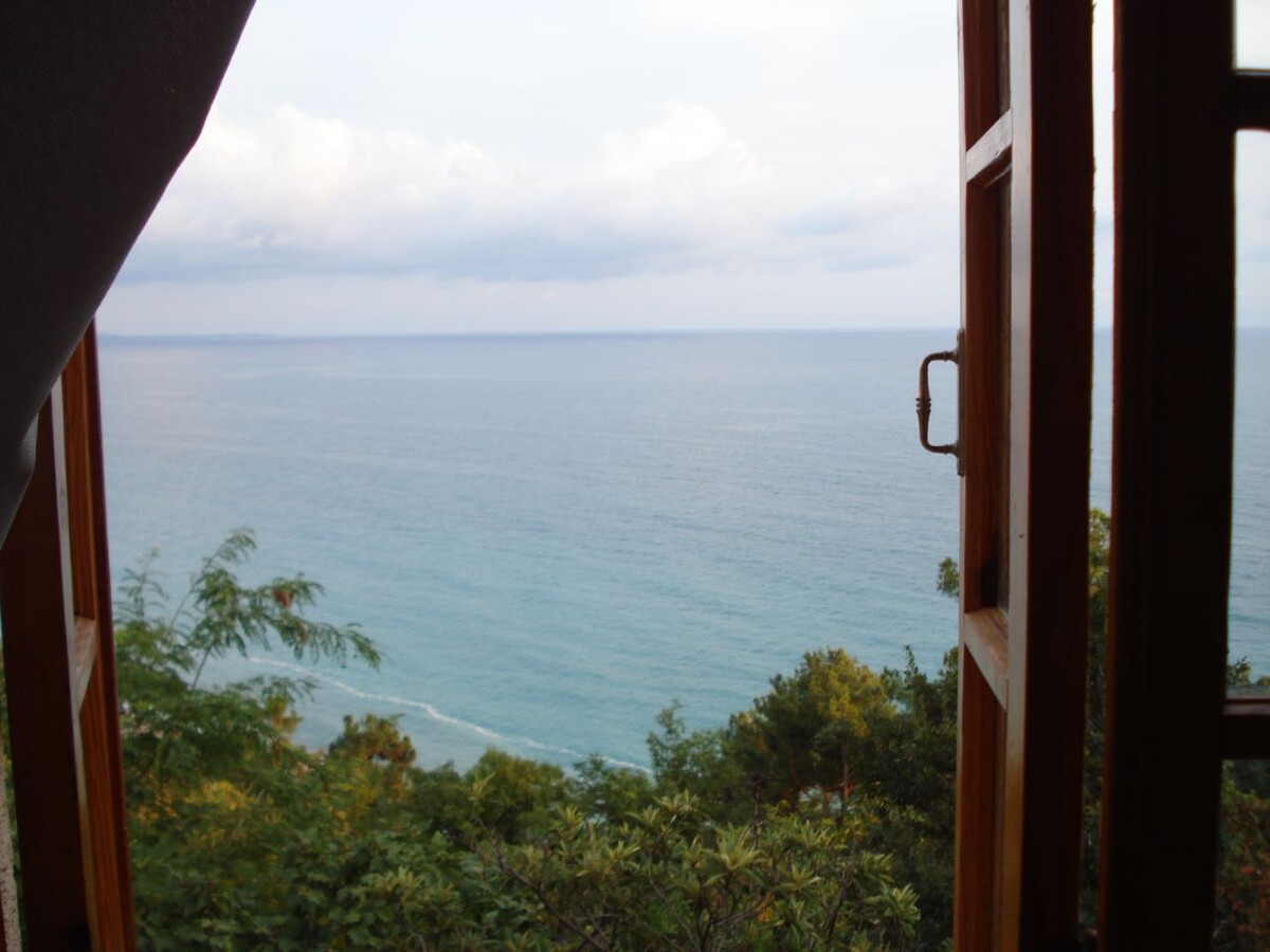 Вид из нашего окна