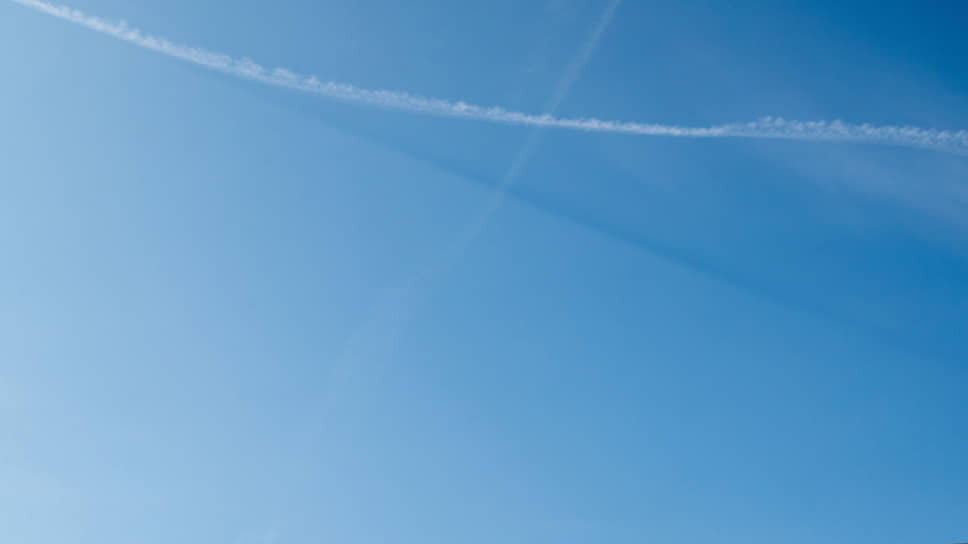 Фото: Олег Харсеев / Коммерсантъ