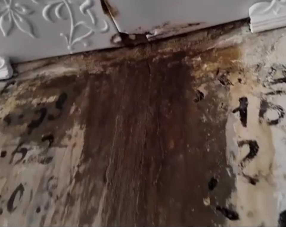    Кадр из видео общественников, на котором видны следы нечистот, оставшиеся на стенах.