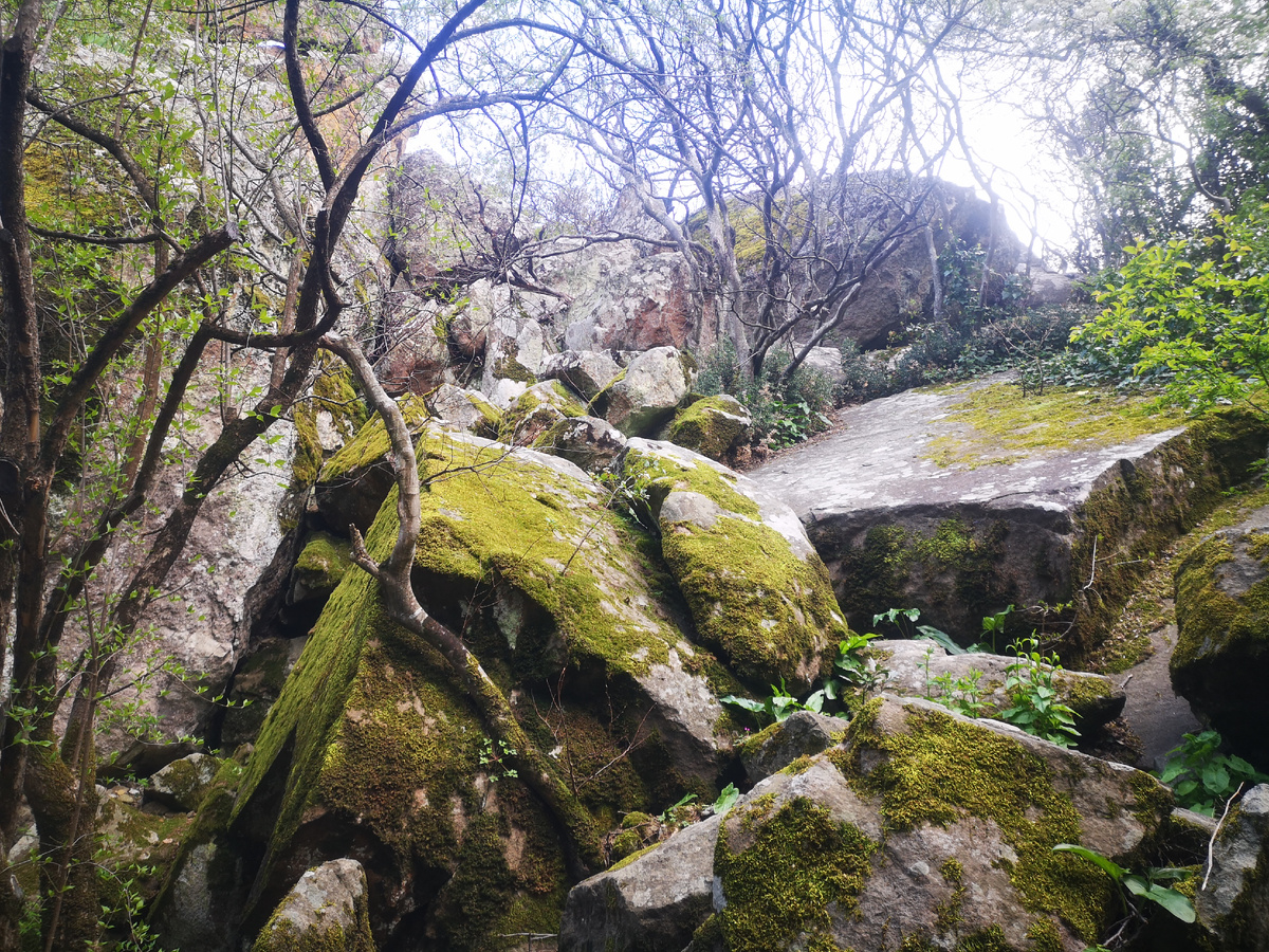 каменный хаос, парк дворца