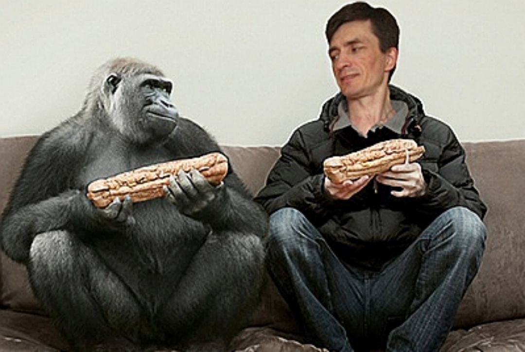  ходячее воплощение добродетели