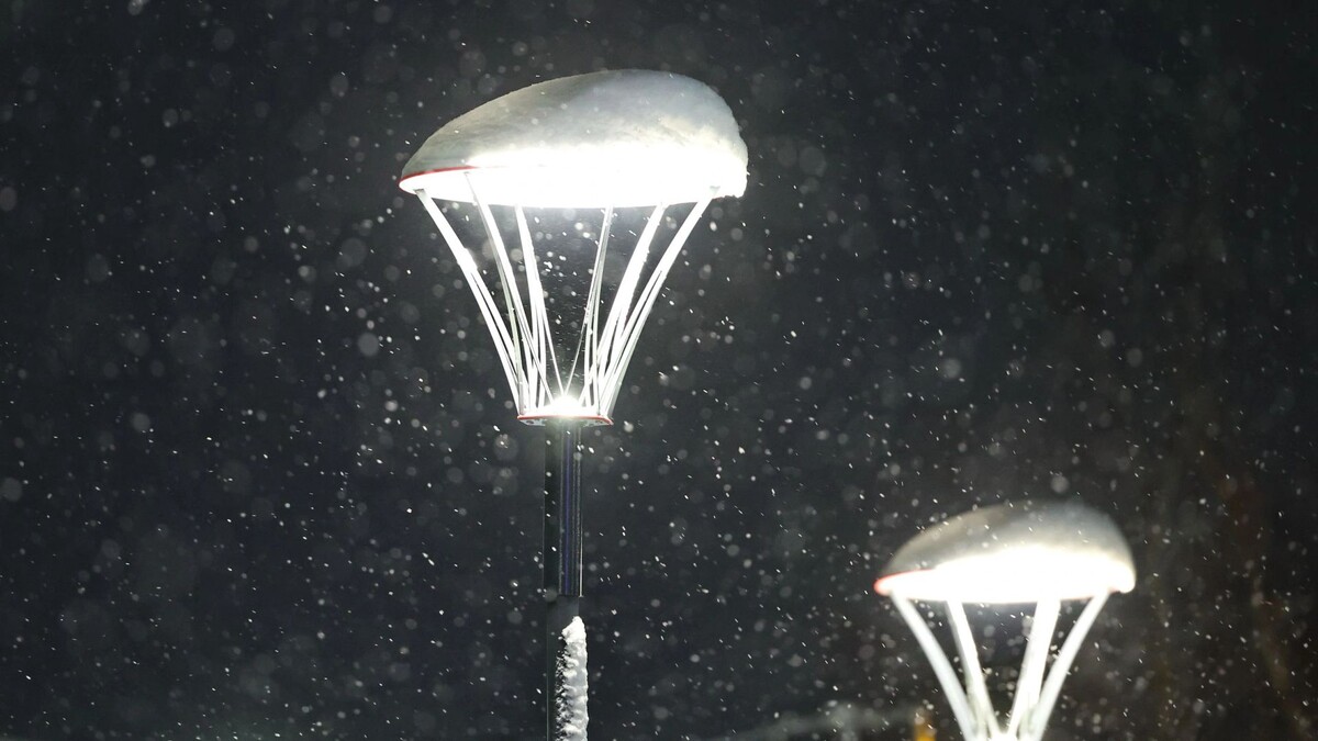    Фото: Андрей Ткачев/«Ямал-Медиа»