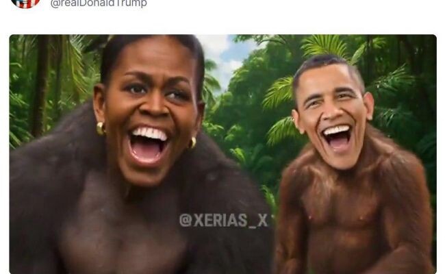    Две обезьяны — Барак и Мишель. Трамп спешит проиграть выборы в Конгресс?