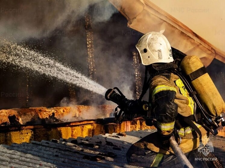     Фото: ГУ МЧС России по Крыму