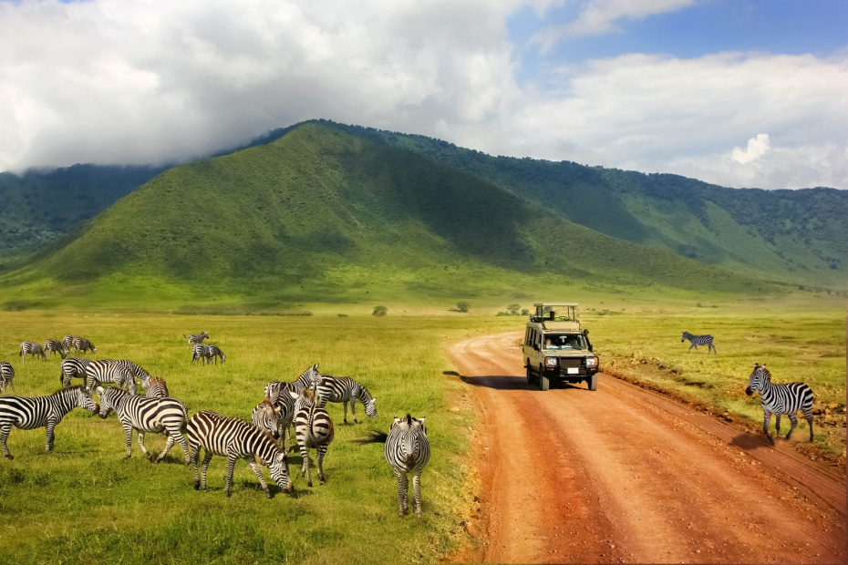    Shutterstock/FOTODOM