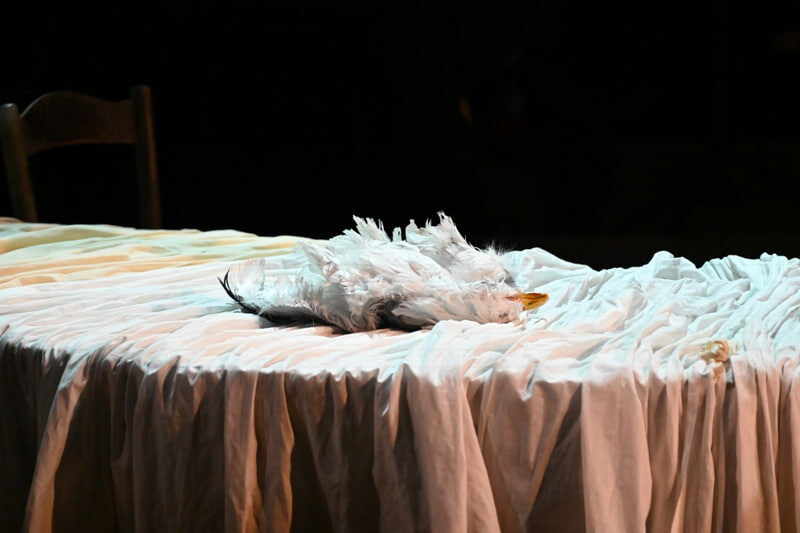 Полина Агуреева и Юрий Башмет представили спектакль о любви