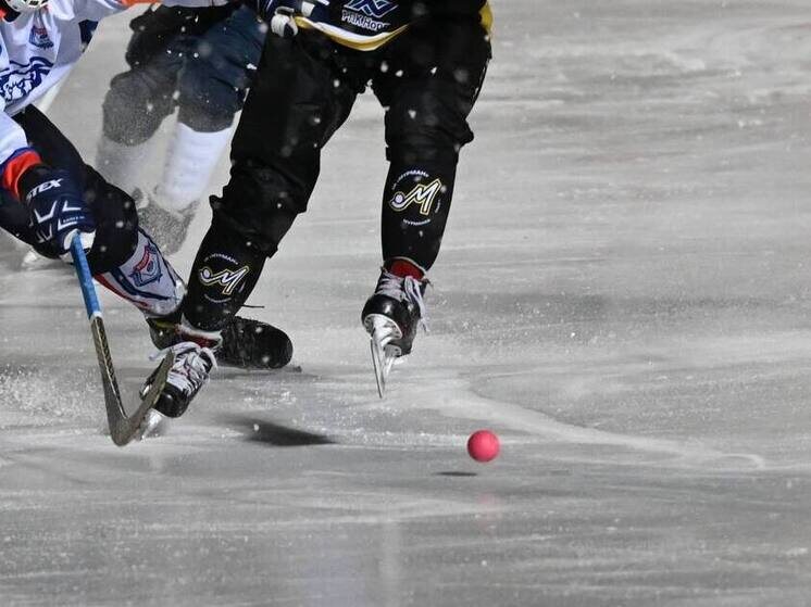     фото: телеграм-канал ХК «Мурман».