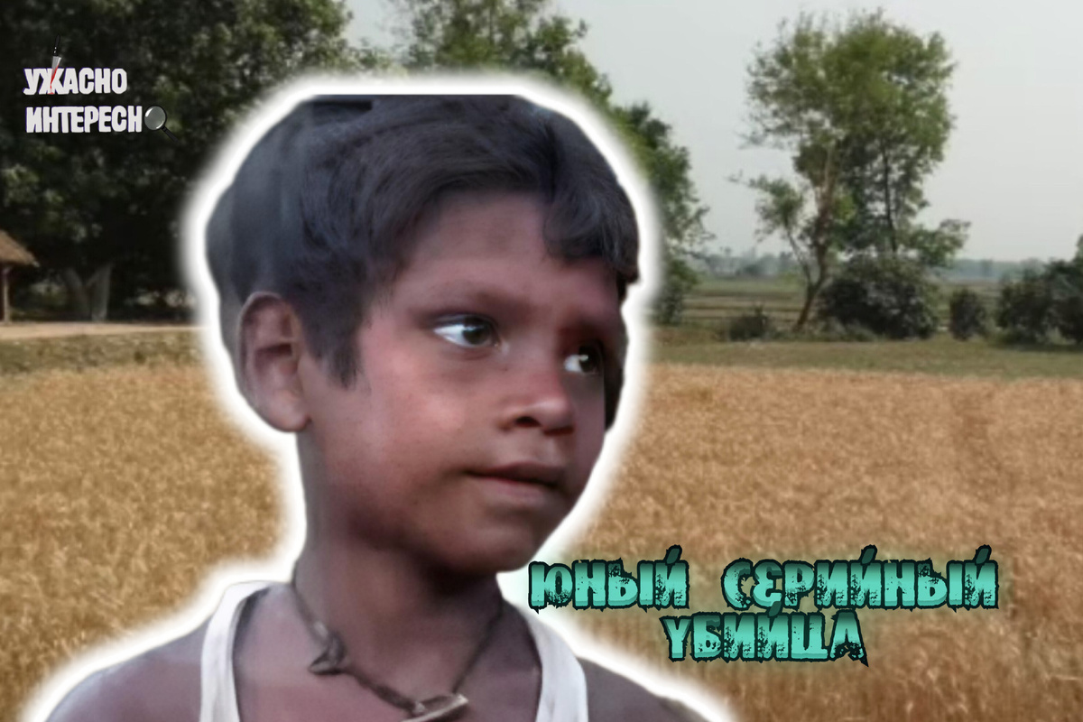 Иллюстрация автора 