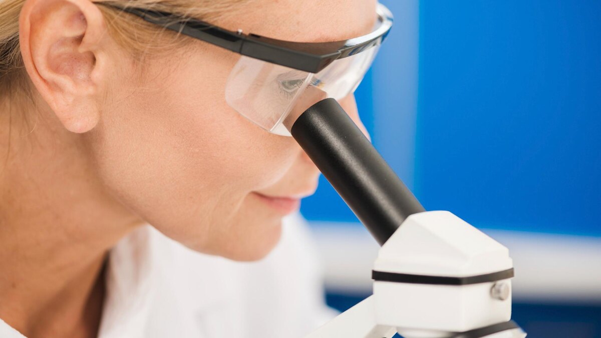    Фото: freepik.com