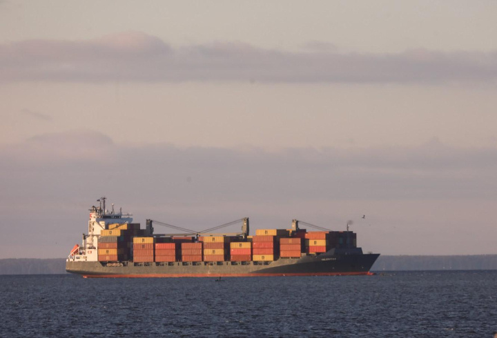 фото: Роман Пименов / «Петербургский дневник»