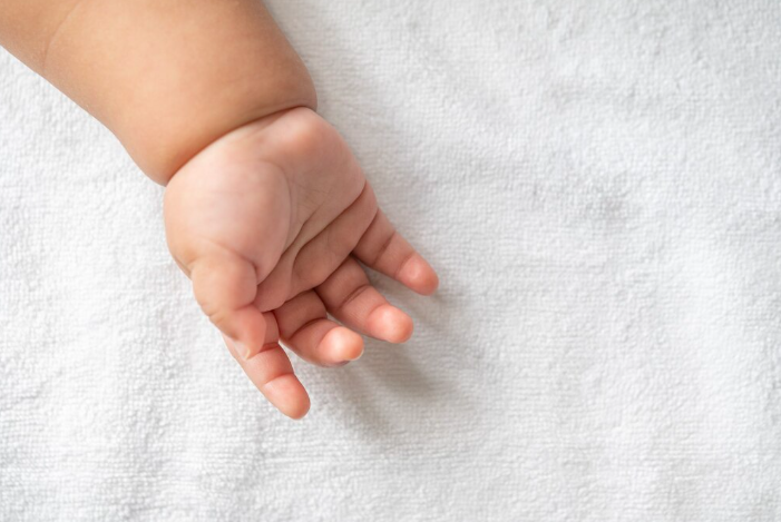 Фото: фрипик