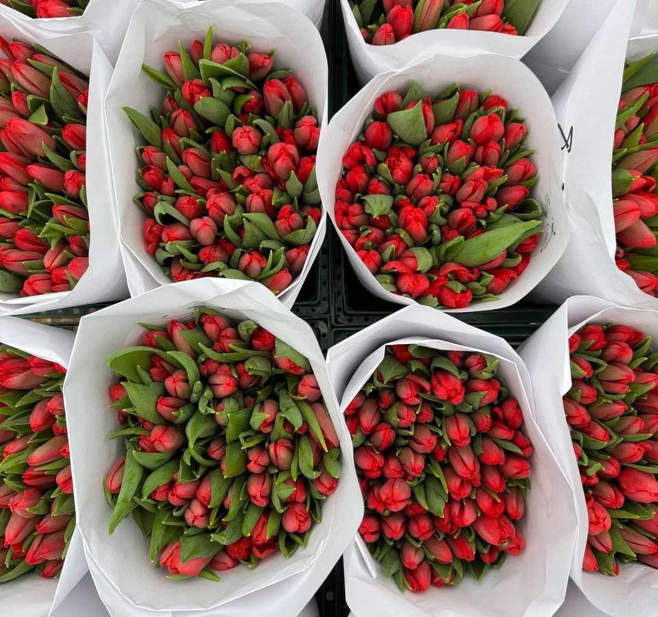 Упаковка тюльпанов к доставке
