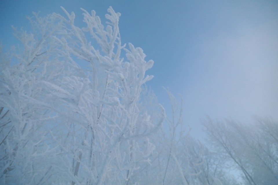    Прошедший январь в Коми оказался морознее климатической нормы. Мария ЛЕНЦ