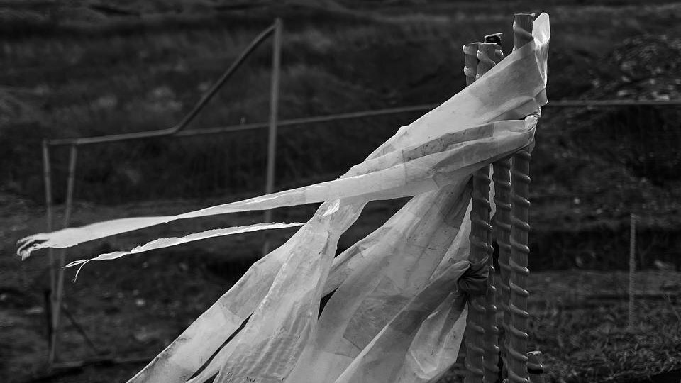 Хотела написать большой пост, но в процессе съемки в голове крутились только одна фраза: «Простите, простите нас