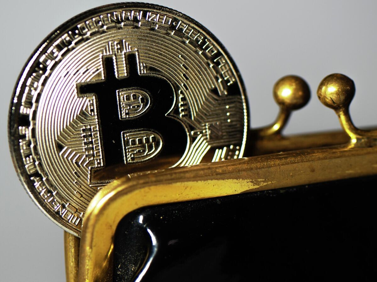    Биткоин | © РИА Новости / Владимир Астапкович