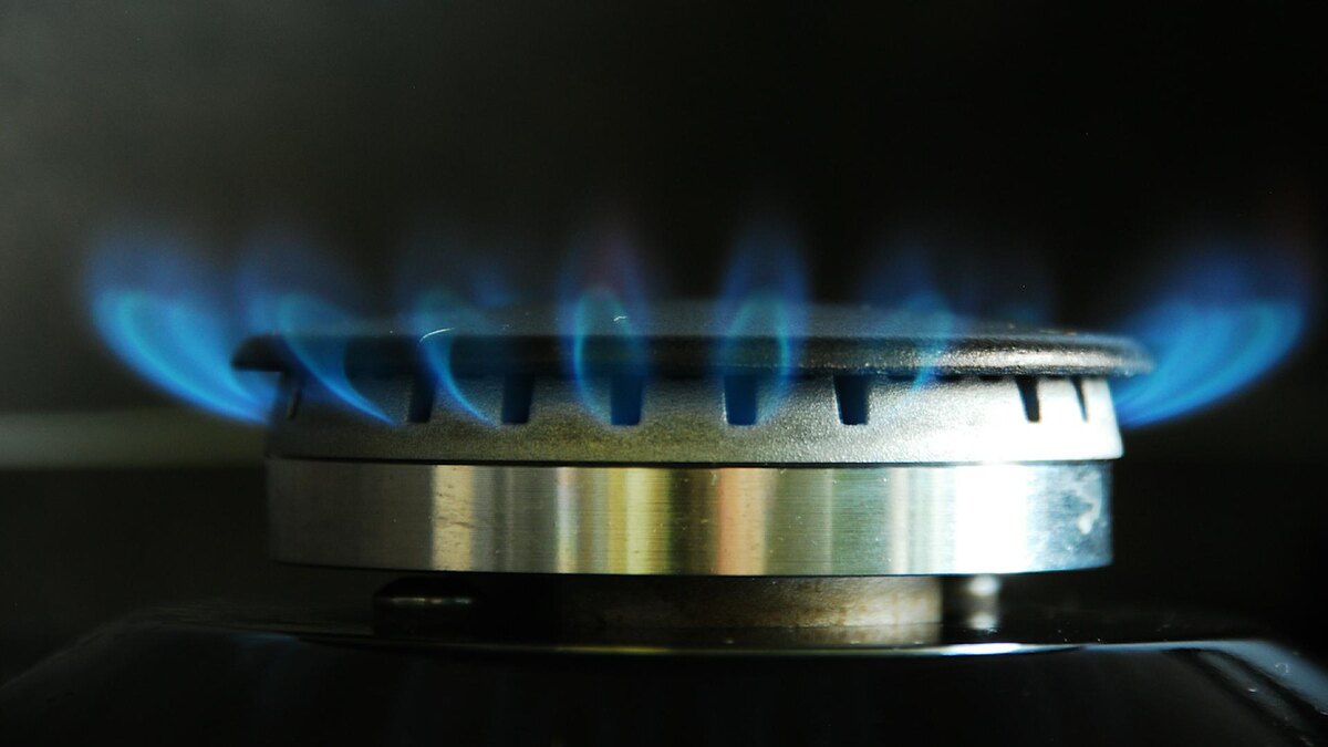 Фото: Alexander Legky/globallookpress.com