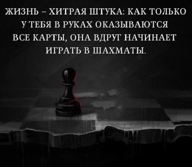 У жизни свои правила