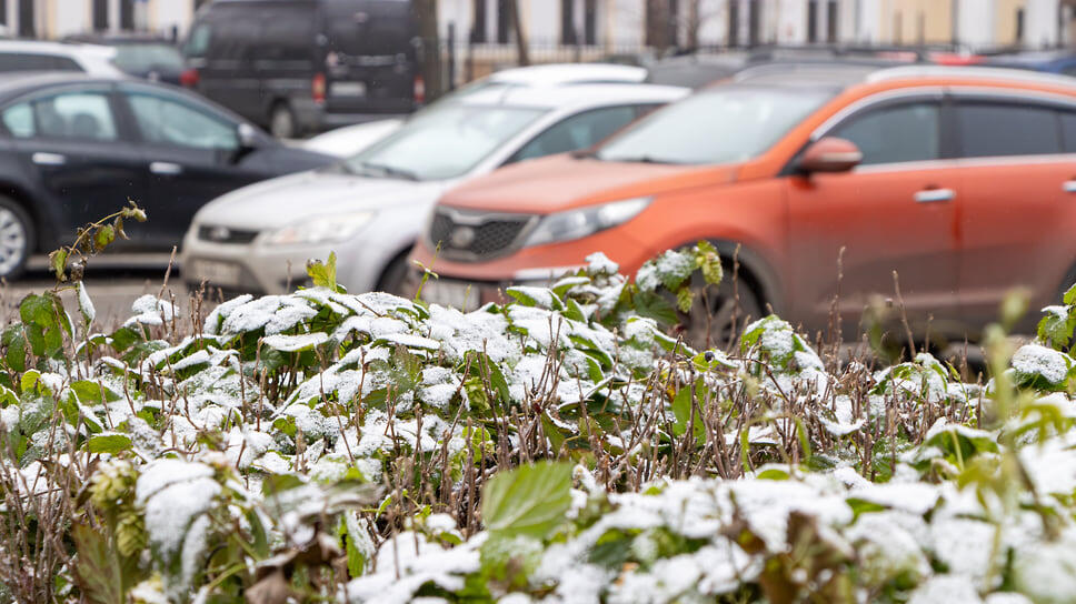 Фото: Егор Снетков / Коммерсантъ